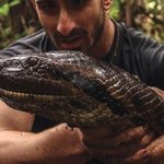 [추억파리여] 아나콘다에게 산채로 먹히는 모험 감행