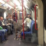 [oc8] 지하철 <b>개민폐</b>