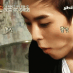 [EXO] <b>한</b>여름밤의으르렁 우리<b>집</b>이랑 ㅈㄴ가까워서