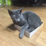 (사진추가) 개념없다고 해야하나 웃기다고 해야하나..