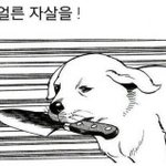 [EXO] 시발..나병신인가