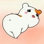 [EXO] 야 이거봐 존나웃김 족<b>터짐</b>ㅋㅋㅋ