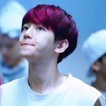 [백현] 오랜만이지? <b>포도</b>큥