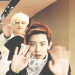 [EXO] 아 공홈존나 못가겠다