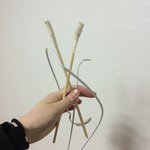 750b번 버스기사님께