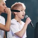 [EXO] 벚꽃슈 다시 한번 보고싶다