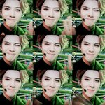 [exo] @@애들아 투표하자@@