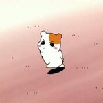 [EXO] 지성피부에 에어쿠션은 별로임?