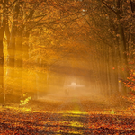 [30대여자] 30대 여자를 부담스러워 하는 이유.