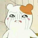 [EXO] 질문)이 <b>햄찌</b> 애니 제목이 뭐야?