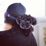 [EXO] 태연 친오빠와 <b>진</b>져