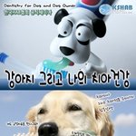 [강연] 강아지 그리고 나의 <b>치아</b> 건강