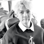 [EXO] 오세훈보고있으면화난다