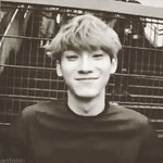[EXO] 야근데ㄹㅇ망상이지만 너네 만약 최애가