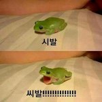 [EXO] 솔까 승무원들이 개같은취급 안받을려면