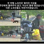 <b>정직</b>이 가져다준 행운 먹먹하네요 가슴이