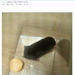 [EXO] <b>무대조명</b>이필요가없네..