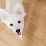 [방탄소년단] 으앙 랩몬이 넘 이뻐ㅠㅠ