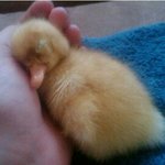 [EXO] <b>의대</b>가는애들은