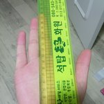 [EXO] 나 손길이 18cm임ㅠㅠㅠㅠㅠㅠ