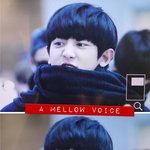 [EXO] 찬냥찬뭉이 크아앙 ~ !!!!!!!