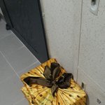 헐 누가 <b>한우</b>세트를 <b>집</b>앞에 두고 갔네요.