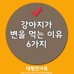 [<b>대형</b>견가족] 강아지가 똥을 먹는 이유 6가지