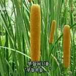 [EXO] 디오 아직도 <b>낙찰</b>안됨???