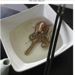[추억파리여] <b>진정</b>한 극사실의 그림들