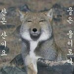 [EXO] 아시벌나투표하느라고