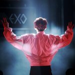 [EXO] 찬열이 중독 지휘 하는 <b>동작</b> 진심 레전드...