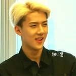 [EXO] 아<b>미친년</b>아