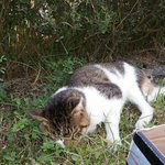 [살구] 기회조차 주어지는것이 살구에겐 사치일까요..? 마지막편