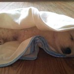 [홈트레이닝] 트레이너가 추천하는 하체운동 와이드스쿼트!!