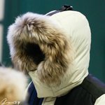 [exo] 이새끼 빼박아님....?