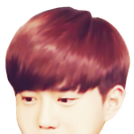 [EXO] <b>머리만</b> 덩그라니 있네...ㅎㄷㄷ