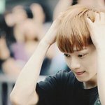 [EXO] 벽반탔던애들아 일코<b>해제</b>됬다는남자애 후기없어?