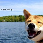 강아지와 나의 <b>치아</b>건강을 위한 세미나