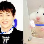 [시우민] 시우민과 햄슈터 ㅋㅋ