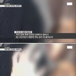 [추억파리여] 땅콩항공 <b>일등석</b> 승객의 증언