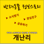 [<b>개난리</b>] 안락사 직전, 기적의 심리변화 !!