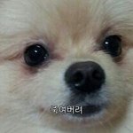 [EXO] ㅅㅂ난탱큥생각하면내빵생각나