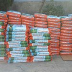 [대형견가족] 연예인 유기견 봉사단 <b>사료</b>전달 완료!