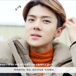 [EXO] 콘서트앨범 스페셜 사고싶은데