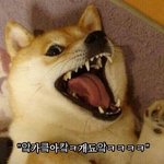 [진격의거인] 진격 신드롬을 일으킨 최고의 화제작! 극장 화면으로...