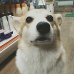3탄 아이들어떻게웃나요? 스마일라이~