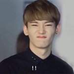 [exo] 근데나는<b>귤껍질</b>이고뭐고이해가안됨