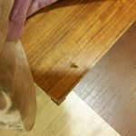 이마x 침구<b>코너</b>에서 바퀴벌레가...