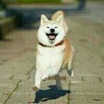 [EXO] 혹시몰라