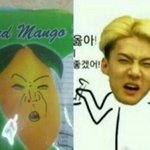 [EXO] 세훈이는 조카랑 진심으로 치고받고 싸우다가
